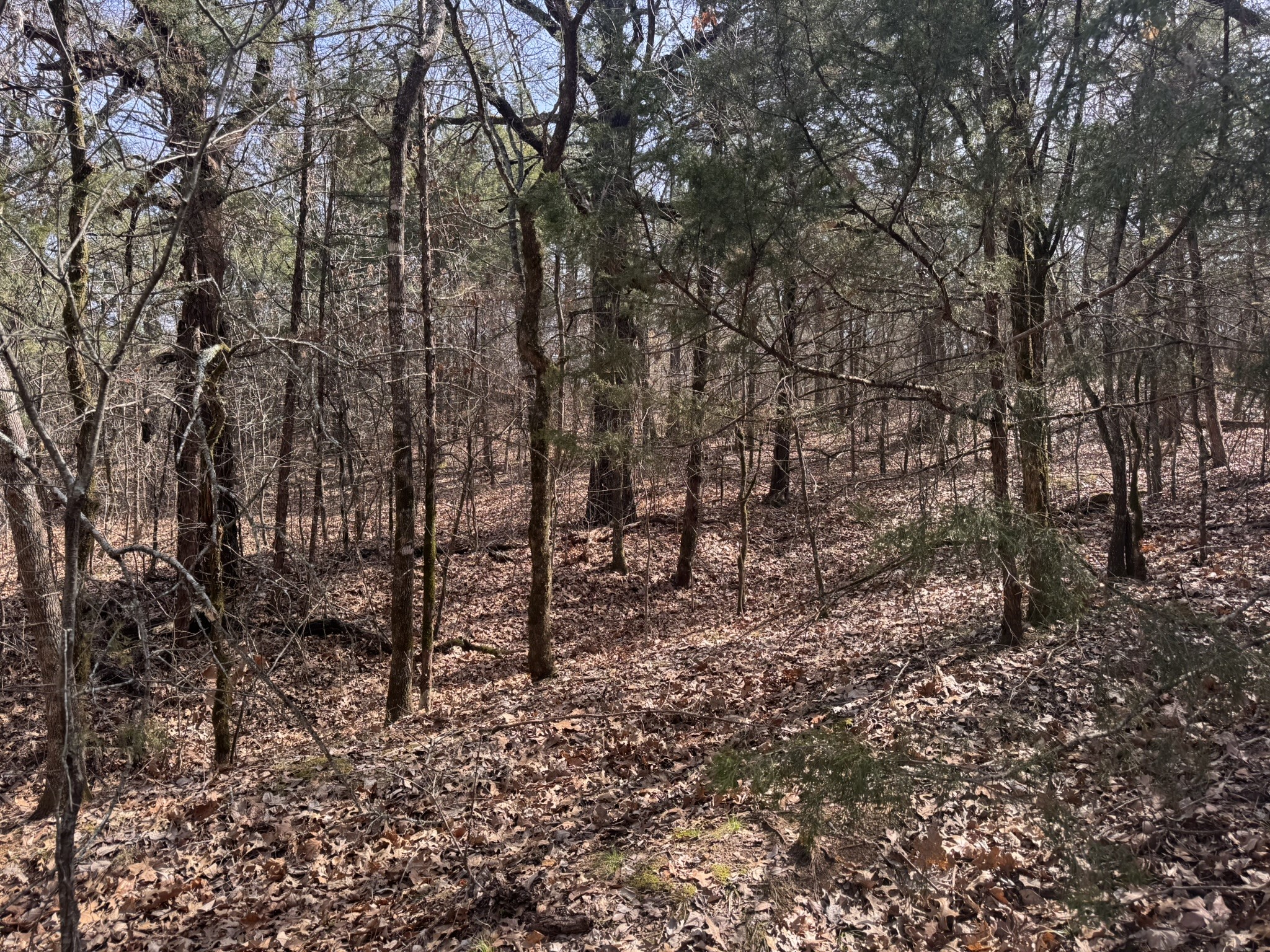 6484 State Highway 56 Bells TX 75414