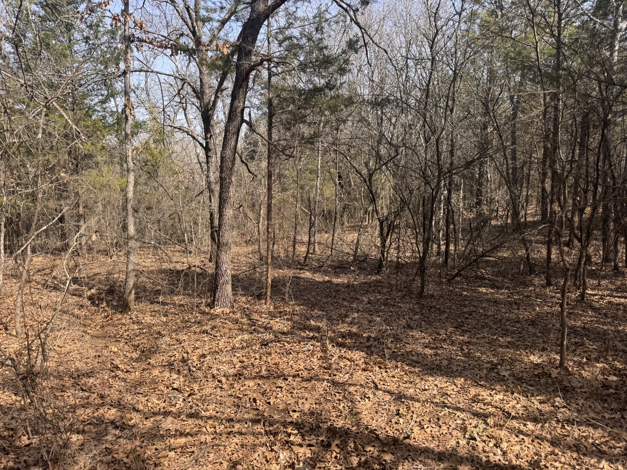 6484 State Highway 56 Bells TX 75414