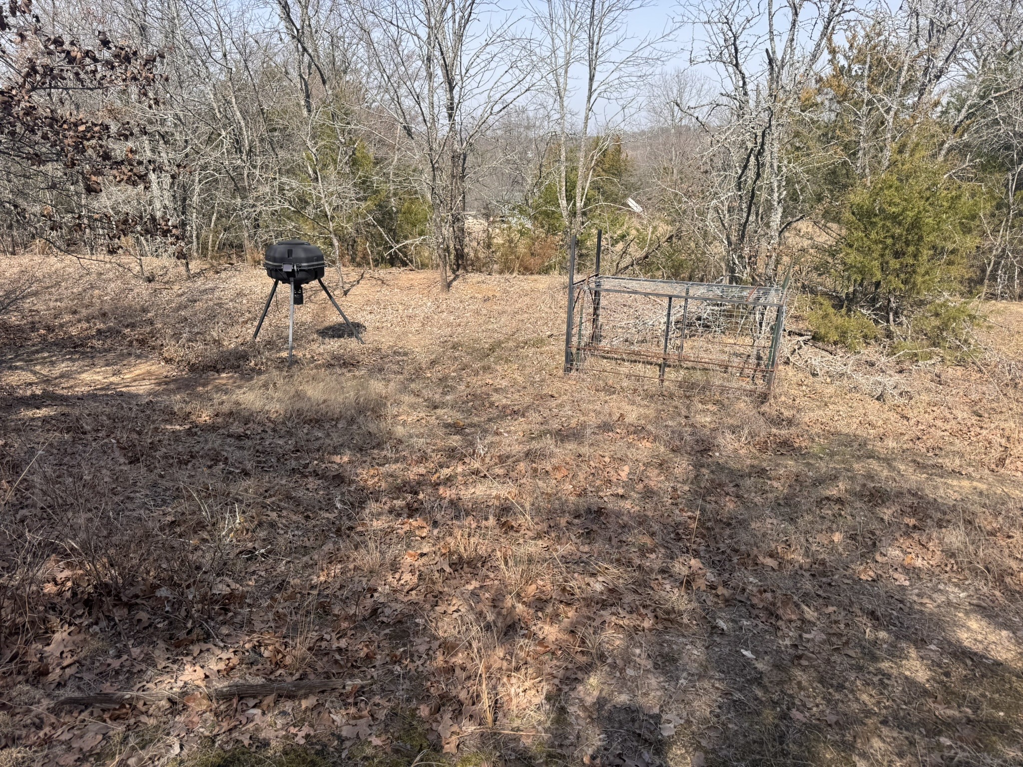 6484 State Highway 56 Bells TX 75414