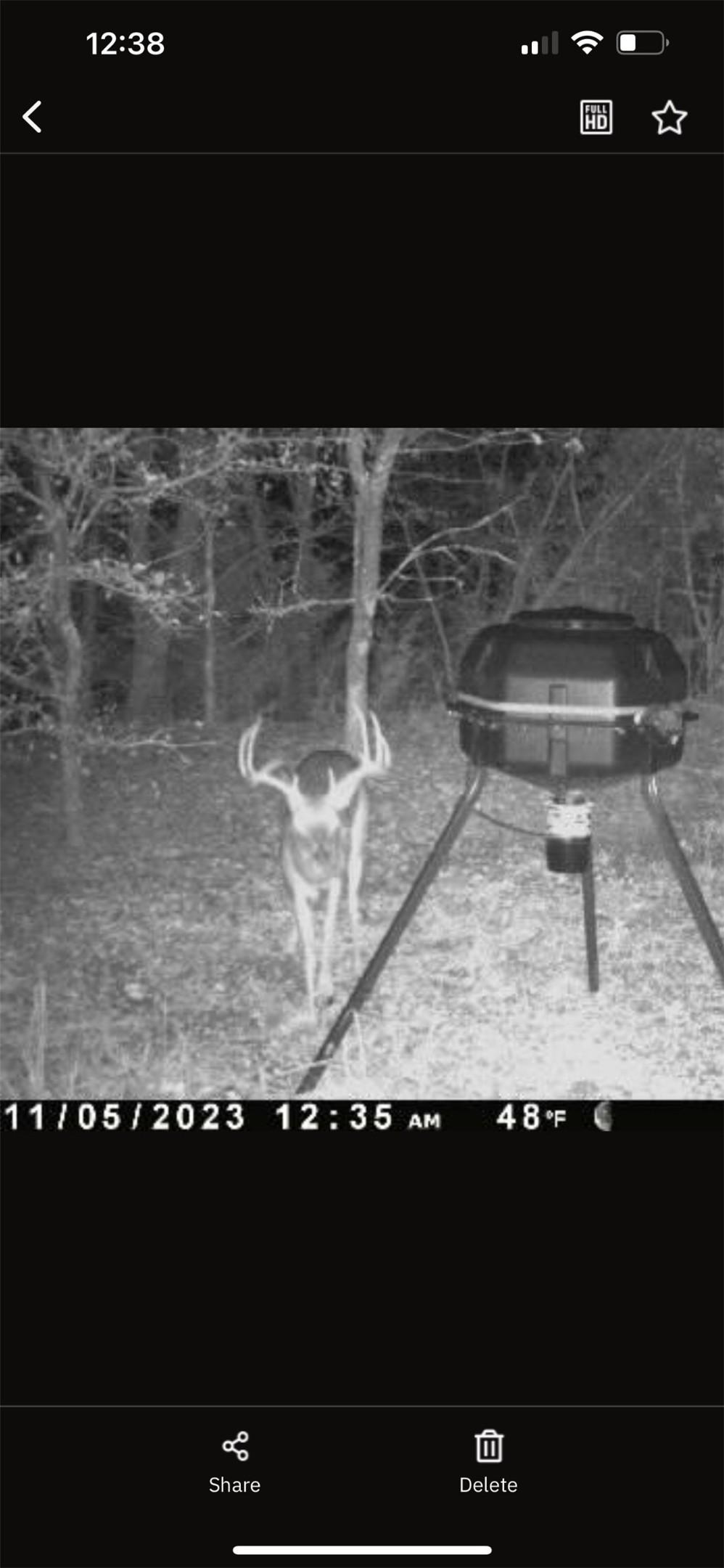 6484 State Highway 56 Bells TX 75414