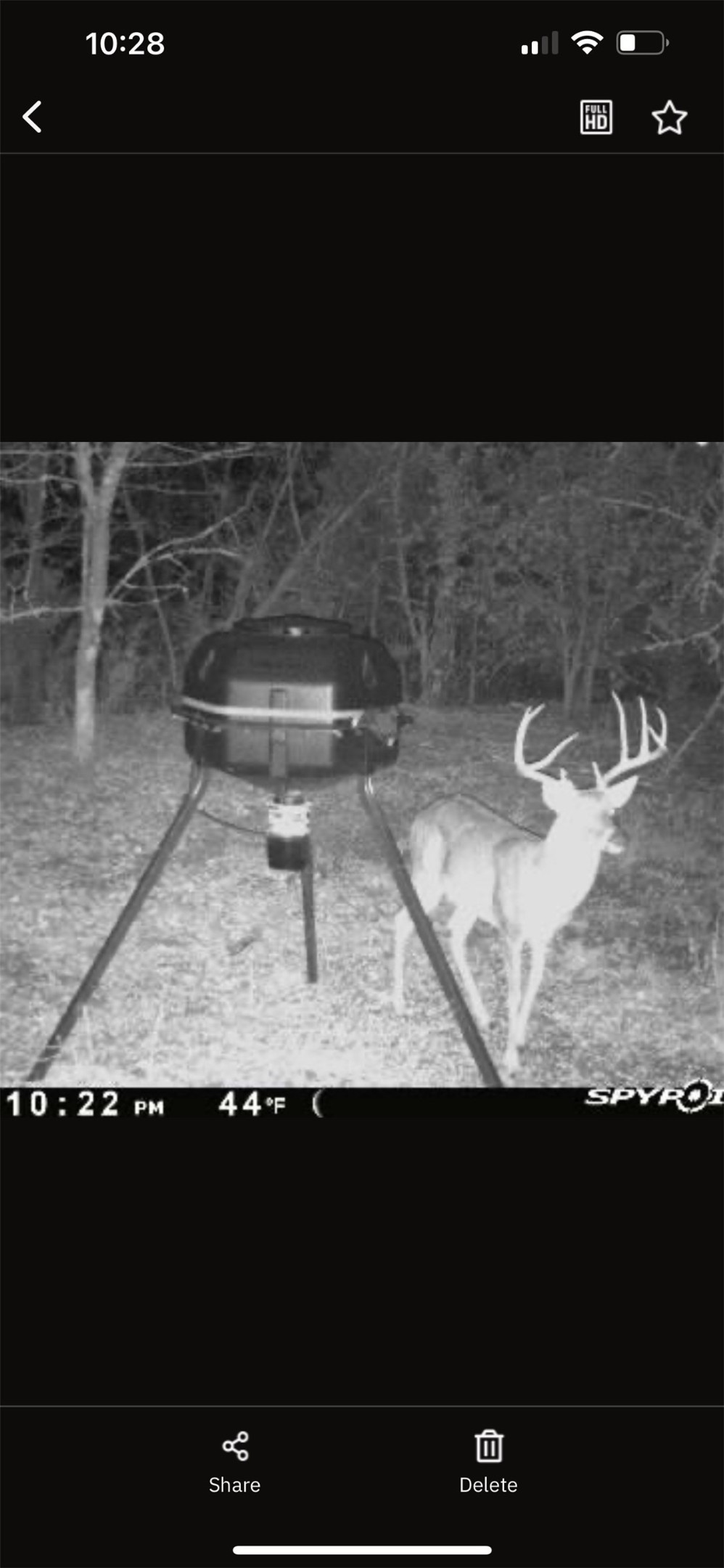 6484 State Highway 56 Bells TX 75414