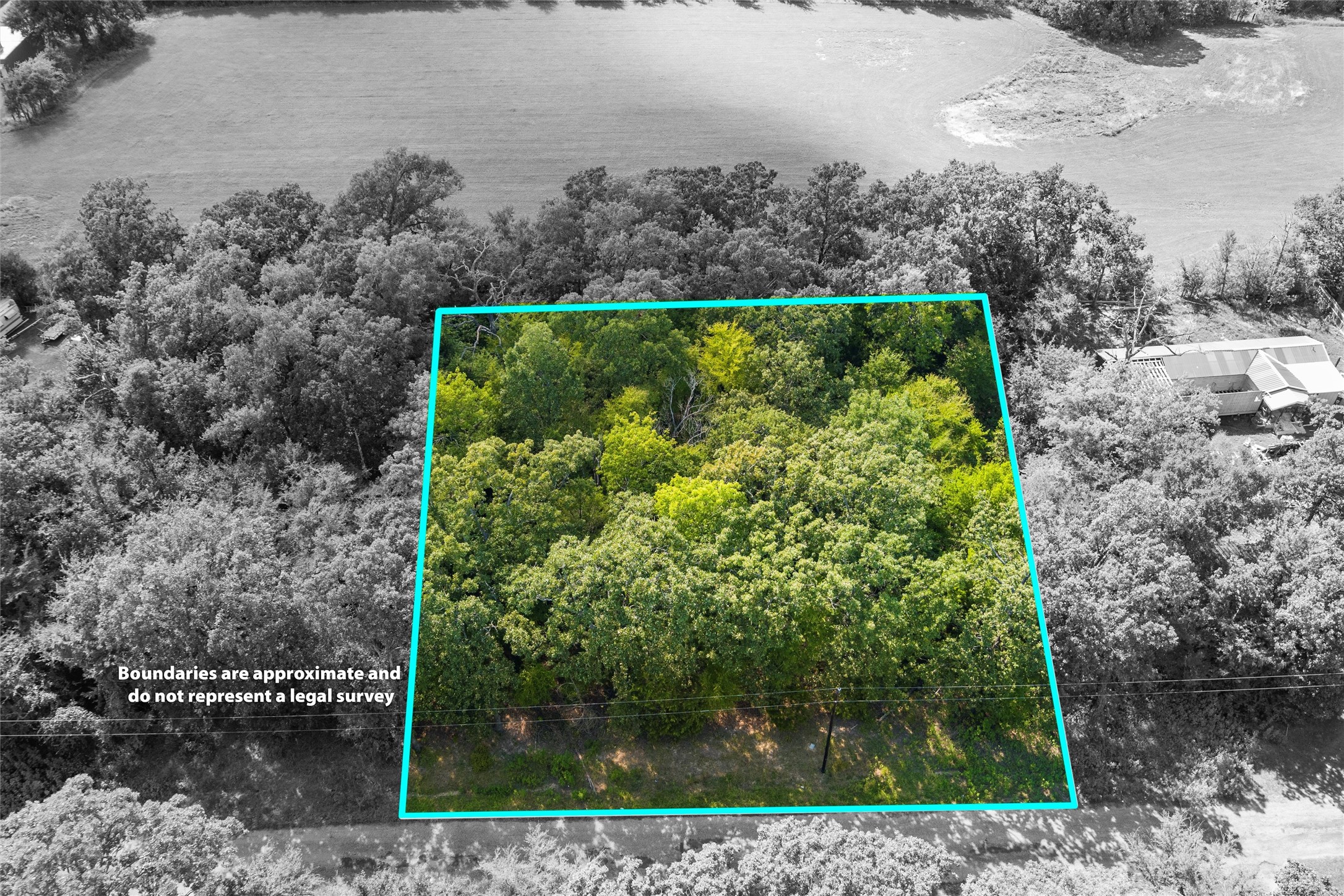 Tbd Rs County Road 3333 Emory TX 75440