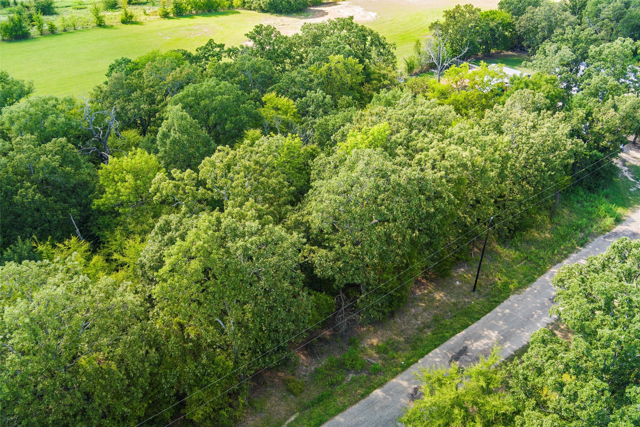 Tbd Rs County Road 3333 Emory TX 75440