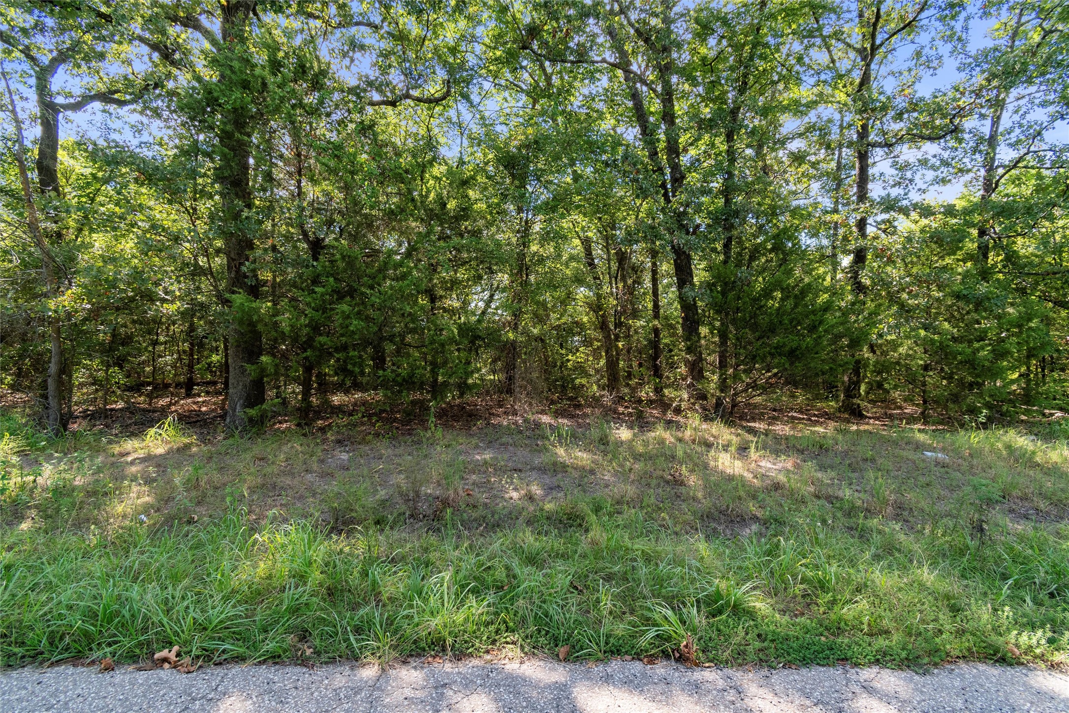 Tbd Rs County Road 3333 Emory TX 75440