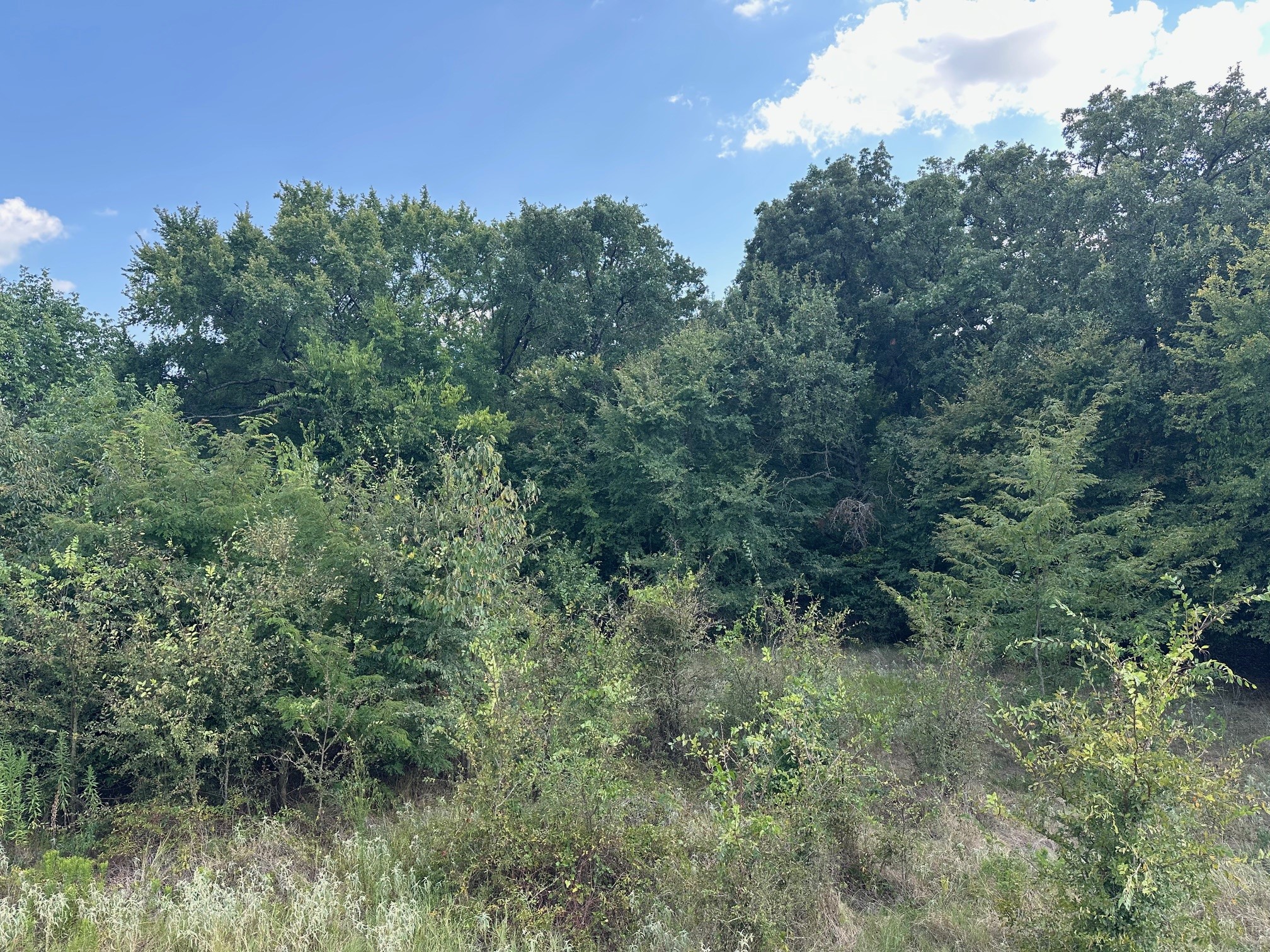 Rs Private Road 6372 Alba TX 75410