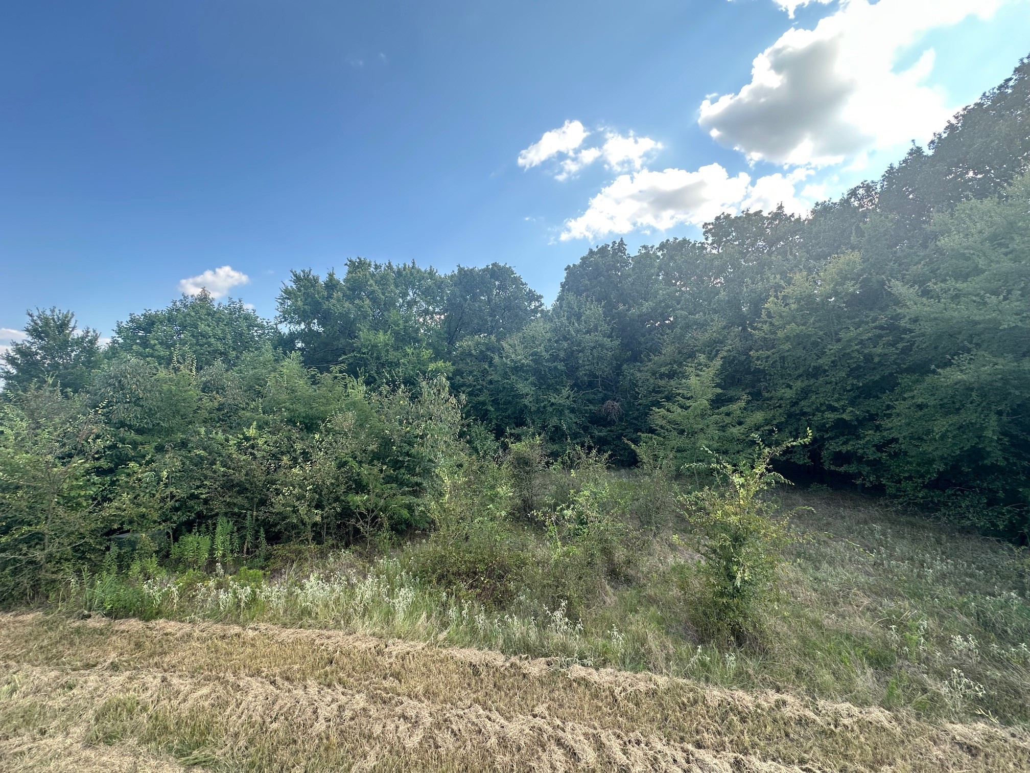 Rs Private Road 6372 Alba TX 75410