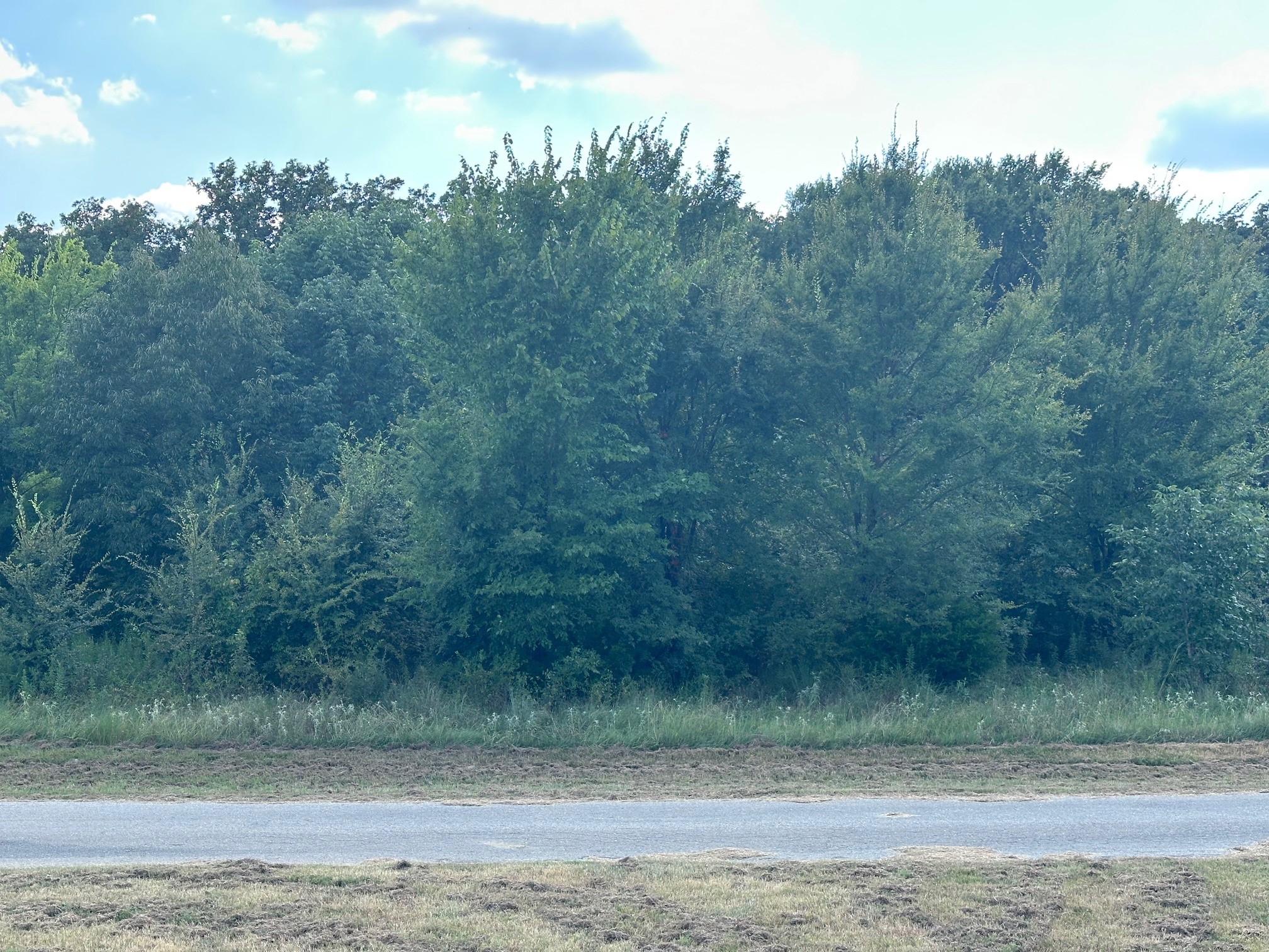 Rs Private Road 6372 Alba TX 75410