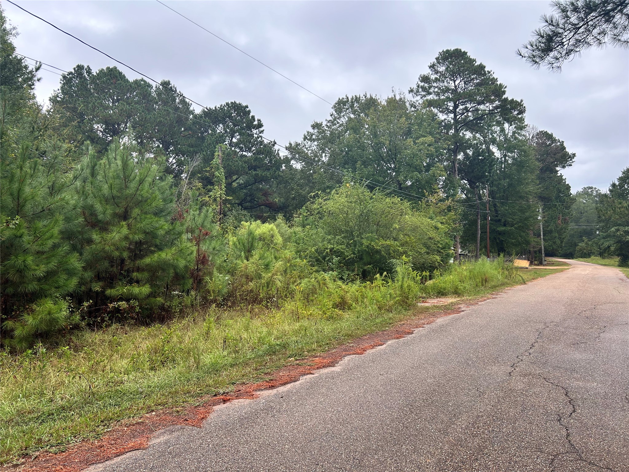 162 Lewis Loop Cotton Valley LA 71018