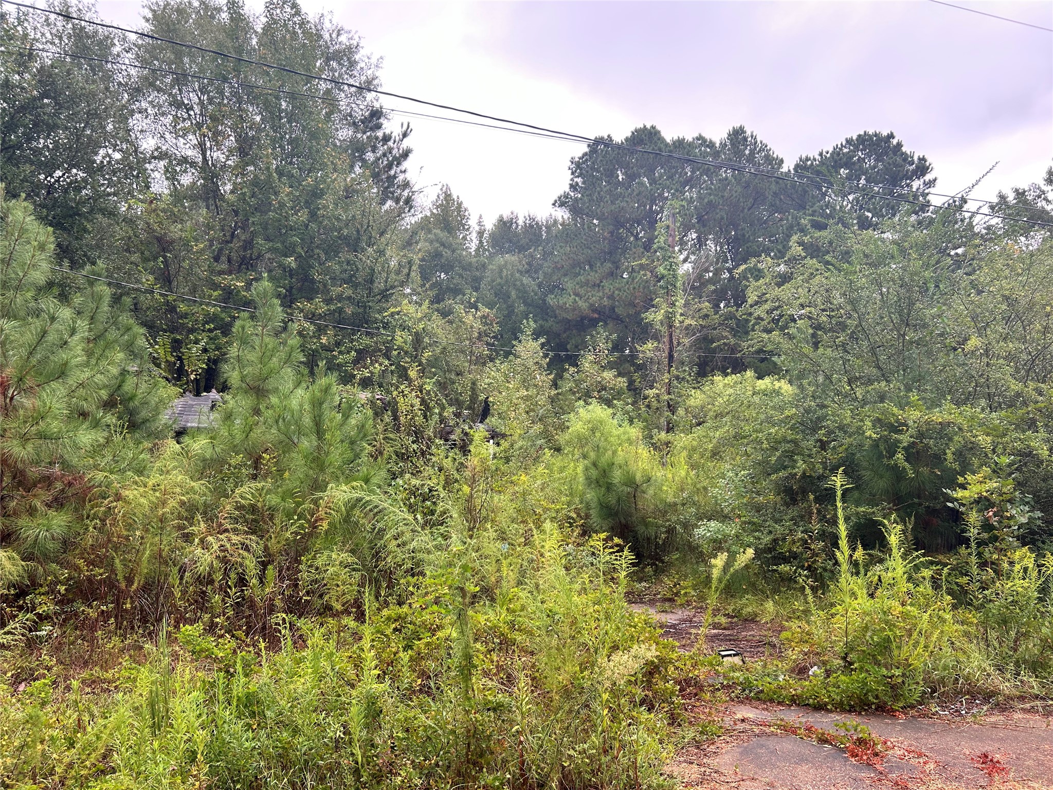 162 Lewis Loop Cotton Valley LA 71018