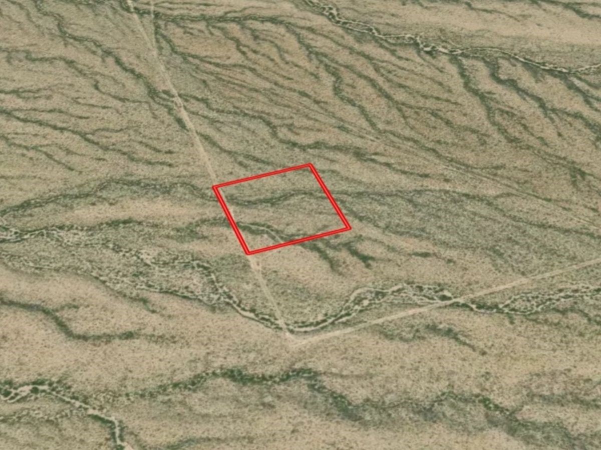1 D & P Sec 79 Presidio TX 79845