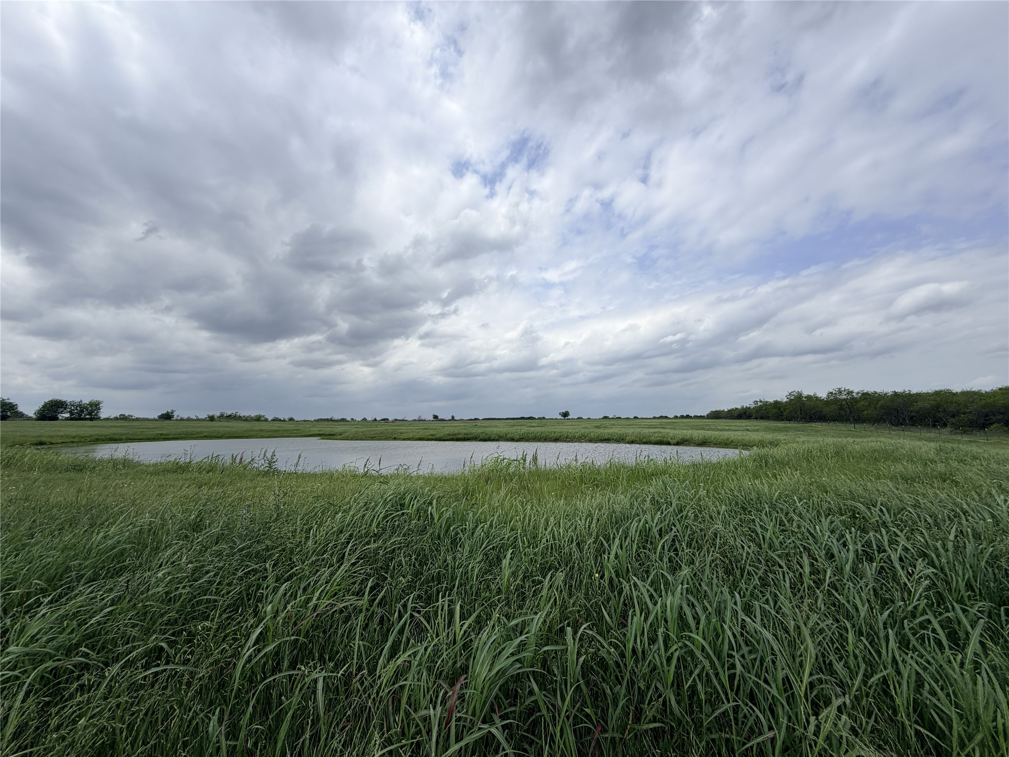 192 Fm 1183 Alma TX 75119