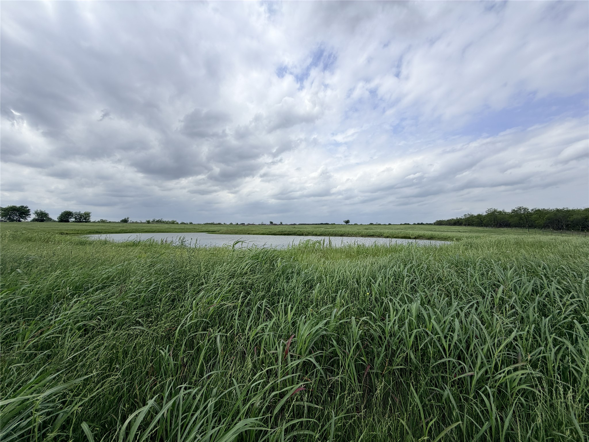 192 Fm 1183 Alma TX 75119