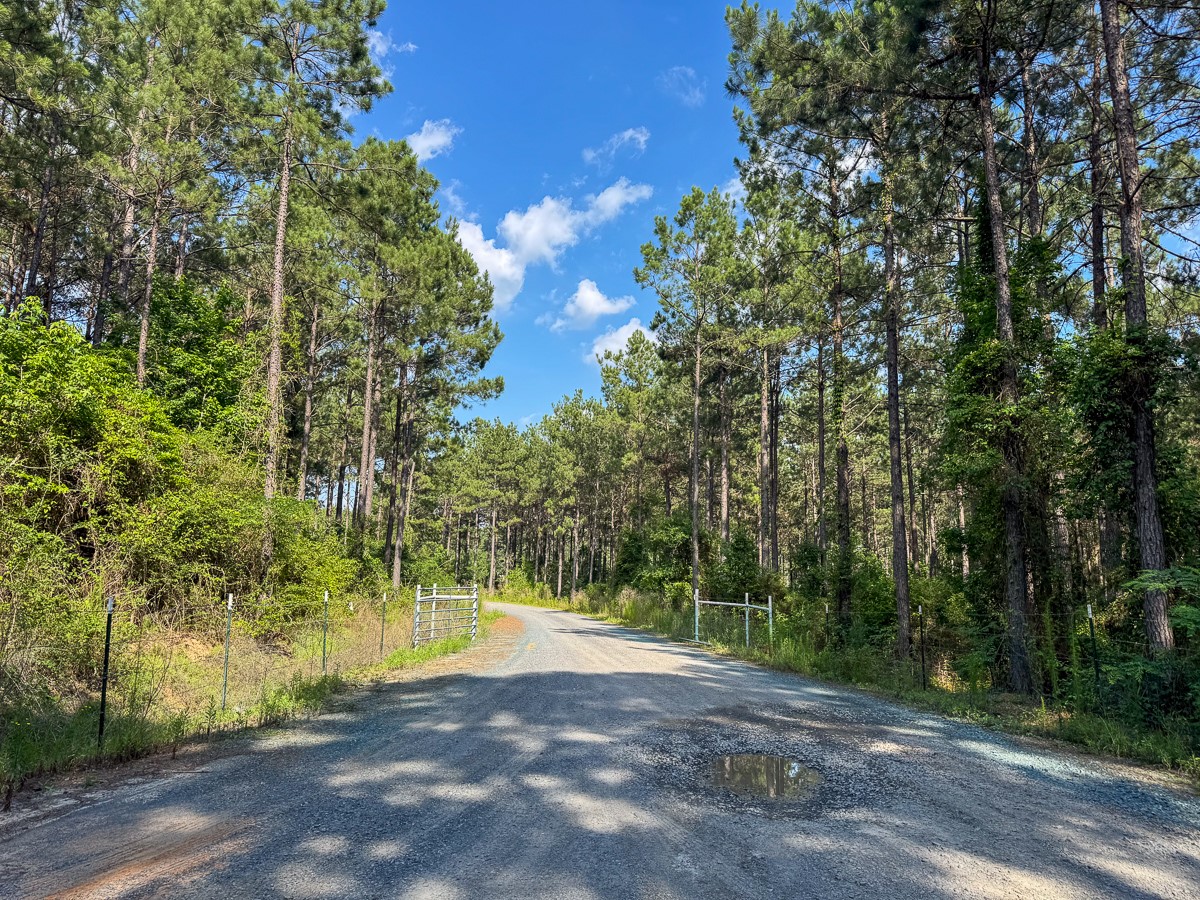 0 Sam Booker Road Mansfield LA 71052