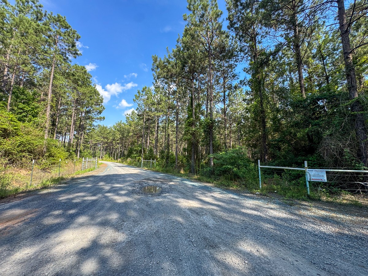 0 Sam Booker Road Mansfield LA 71052