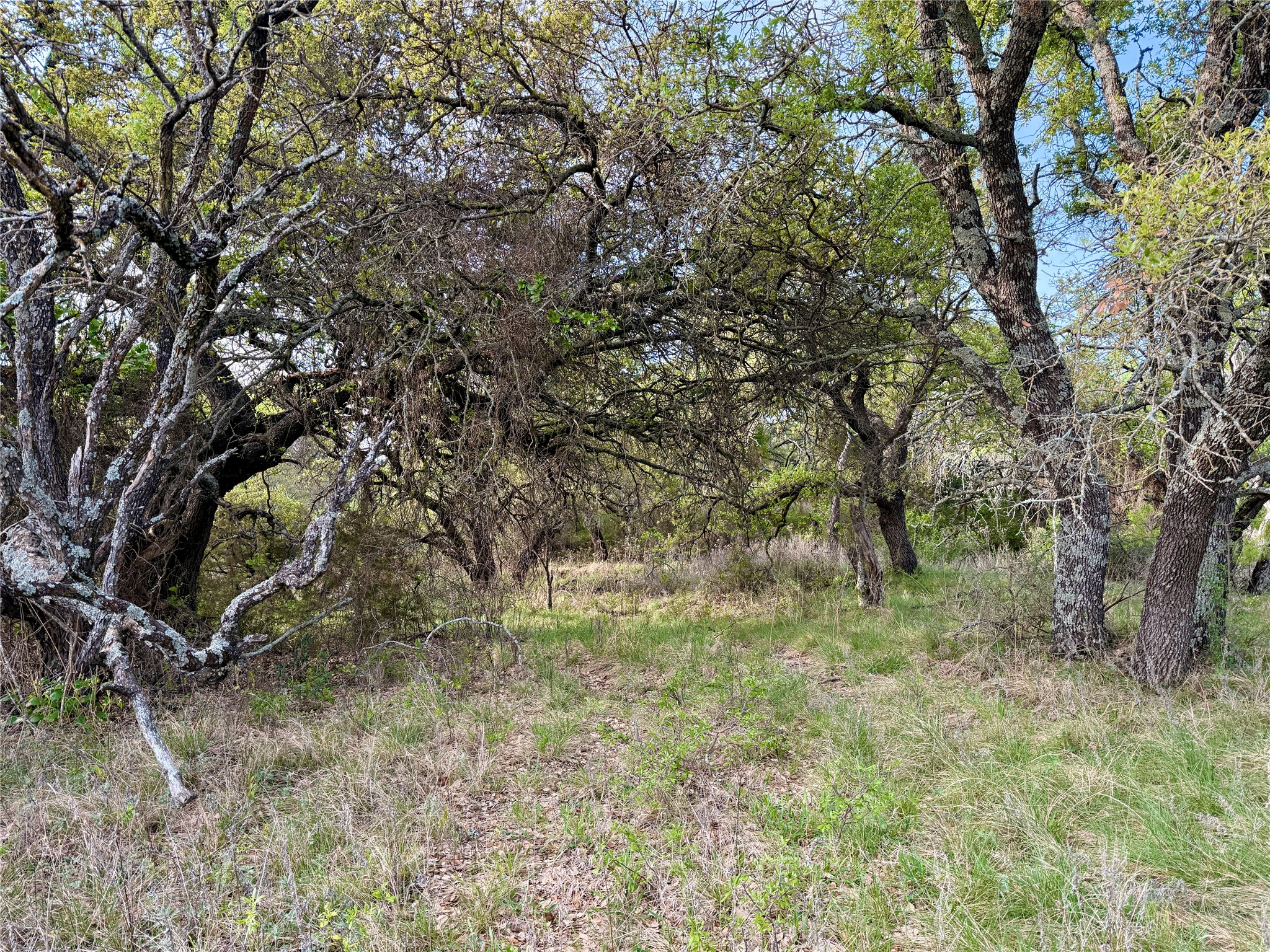 Tbd Cr 253 Comanche TX 76442