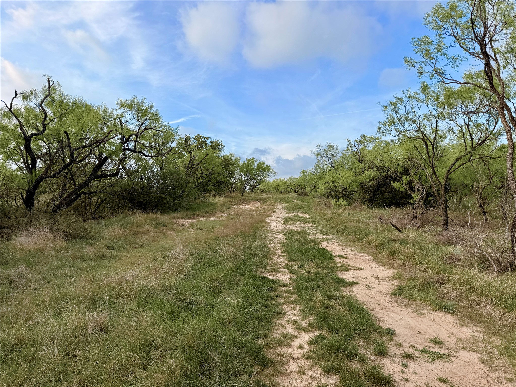 Tbd Cr 253 Comanche TX 76442