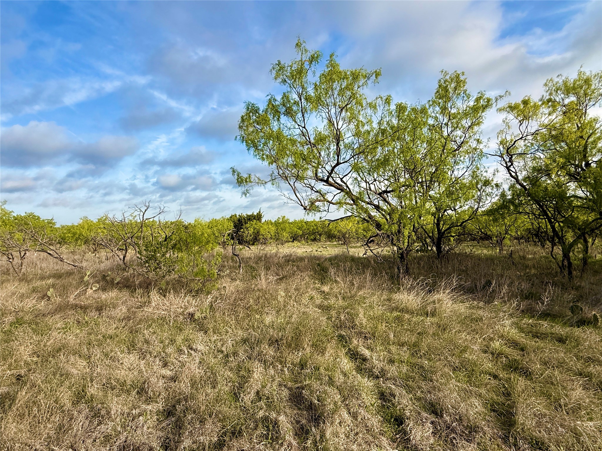 Tbd Cr 253 Comanche TX 76442