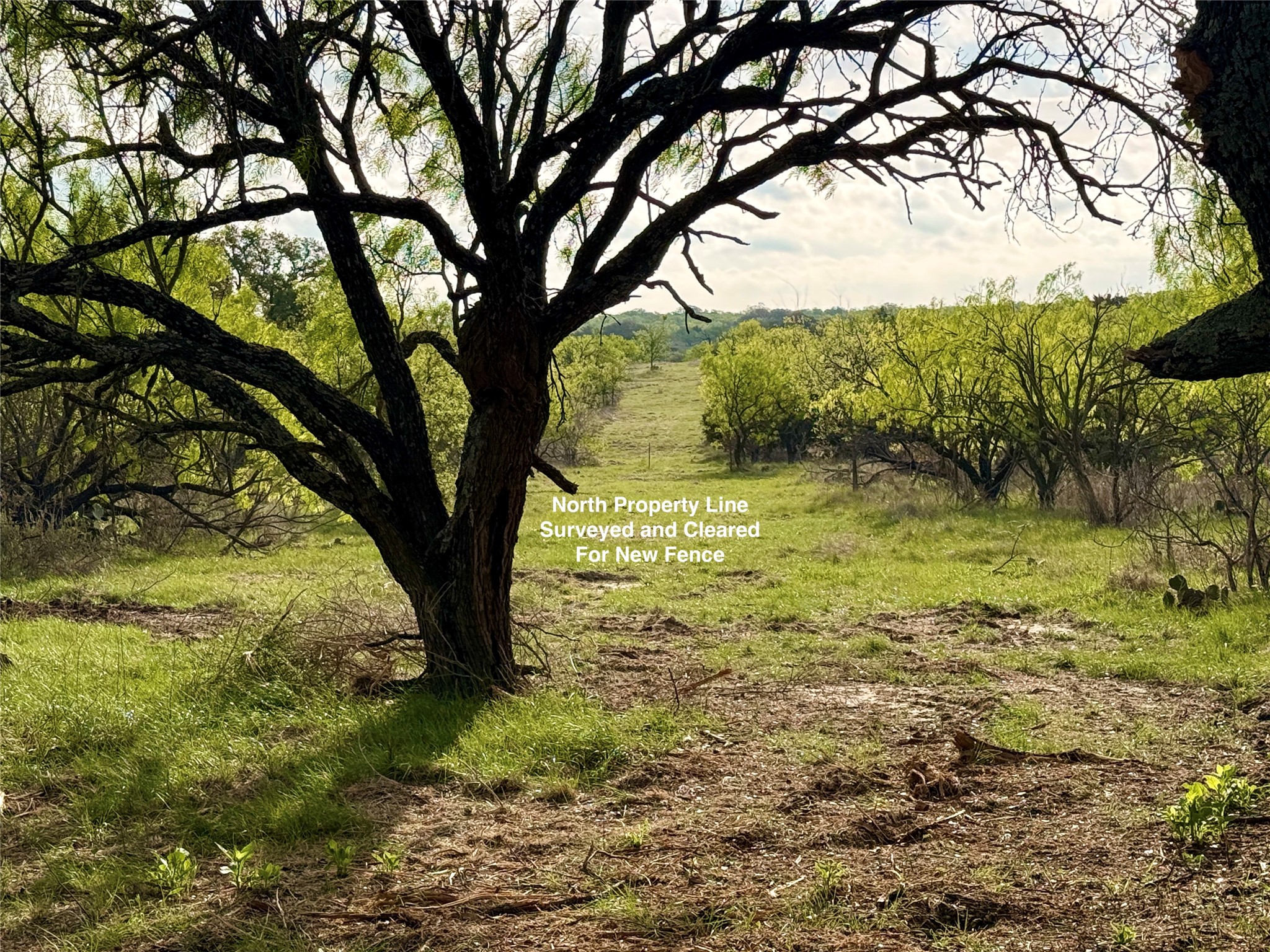 Tbd Cr 253 Comanche TX 76442