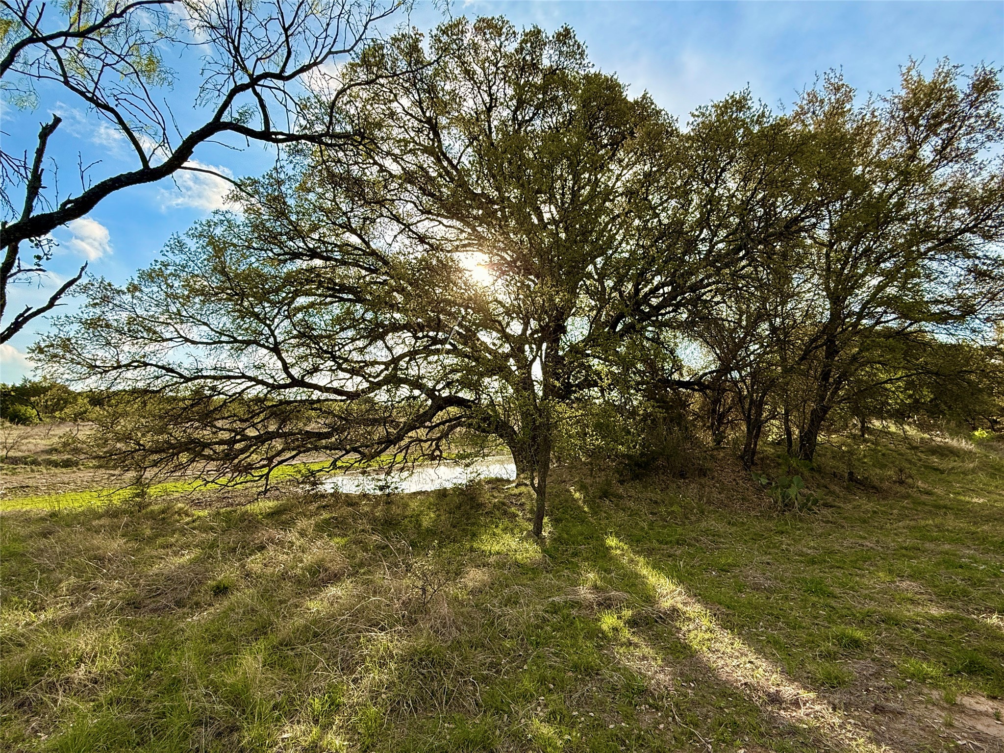 Tbd Cr 253 Comanche TX 76442