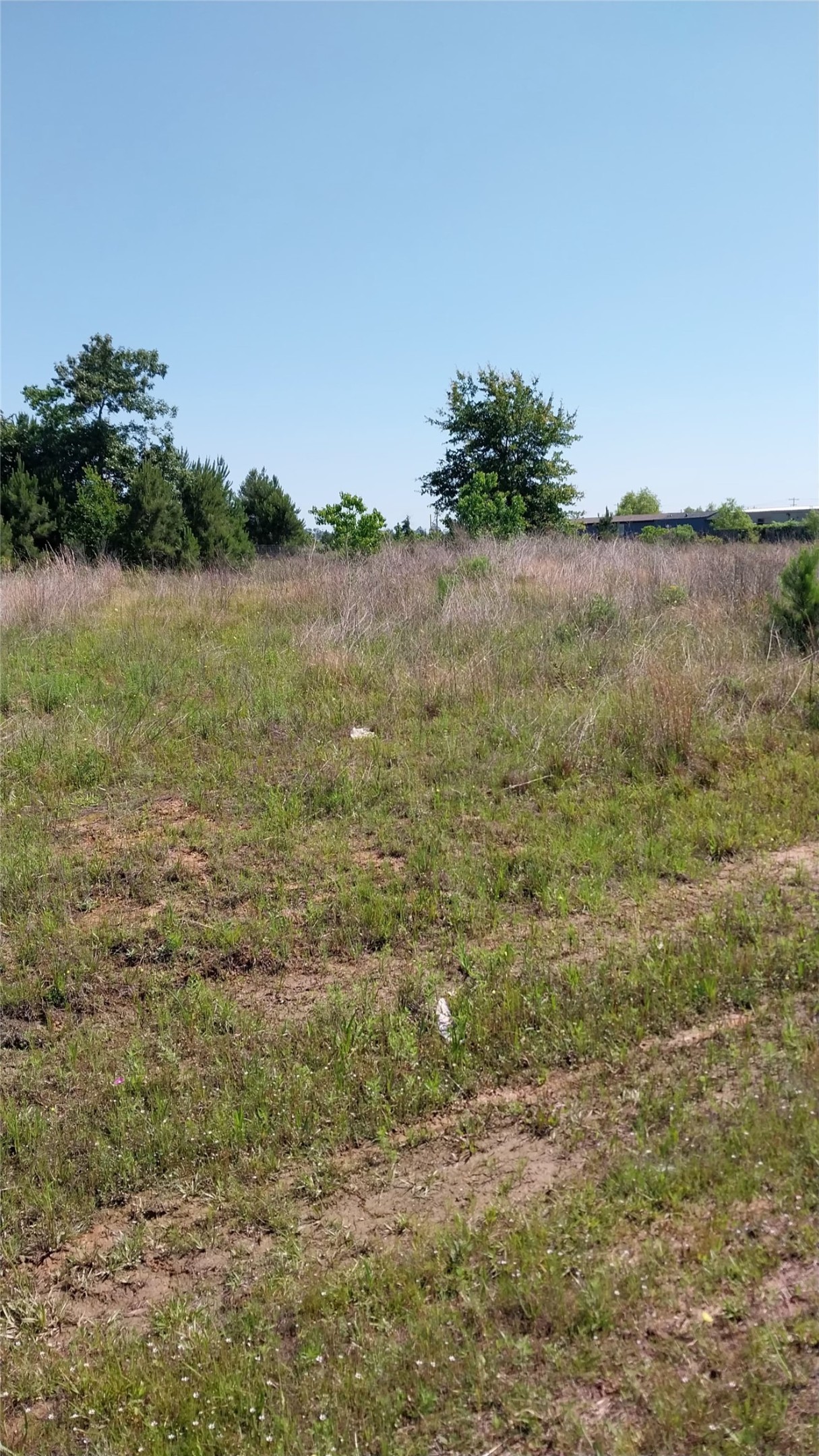 1715 Road 5729 Cleveland TX 77327