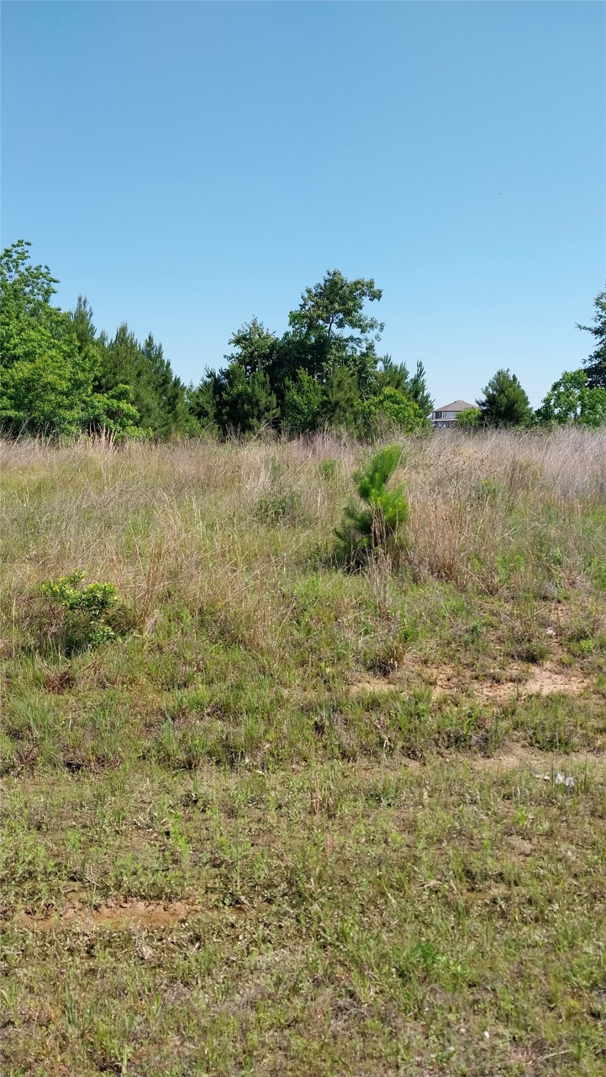 1715 Road 5729 Cleveland TX 77327
