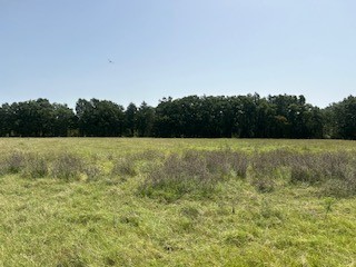 Tbd Lakeview Drive Quinlan TX 75474