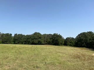 Tbd Lakeview Drive Quinlan TX 75474