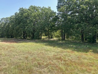 Tbd Lakeview Drive Quinlan TX 75474