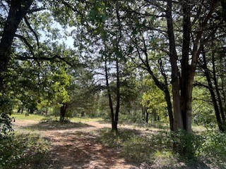 Tbd Lakeview Drive Quinlan TX 75474