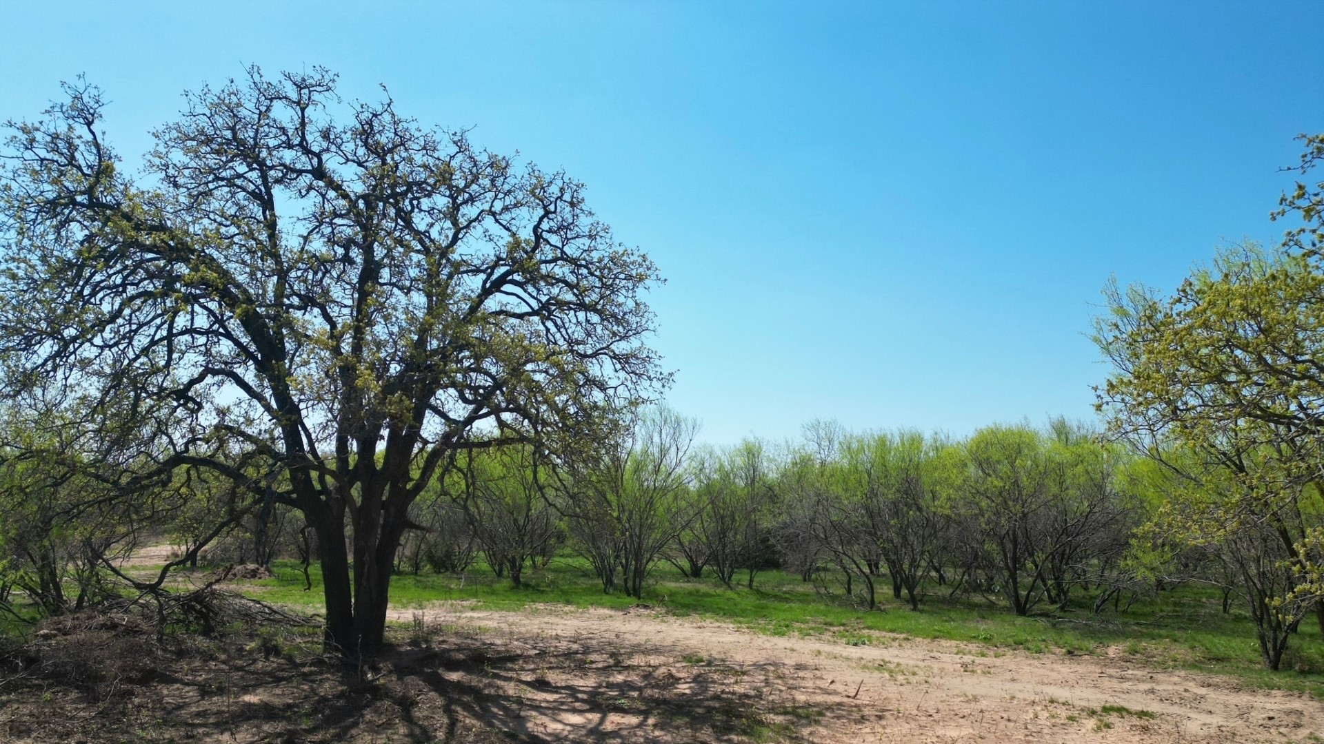 Tbd #7 Co Road 340 Ranger TX 76470