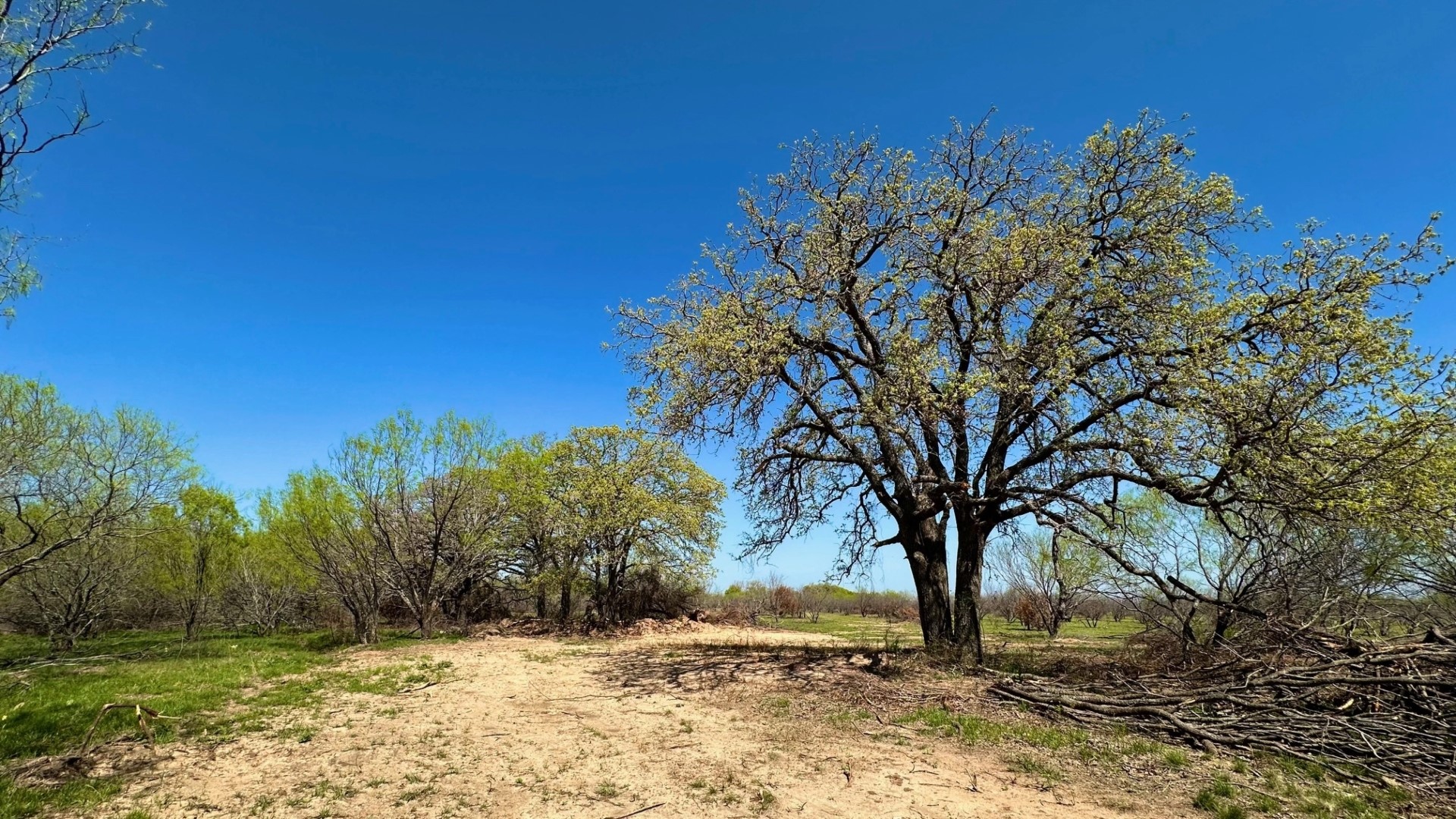 Tbd #7 Co Road 340 Ranger TX 76470