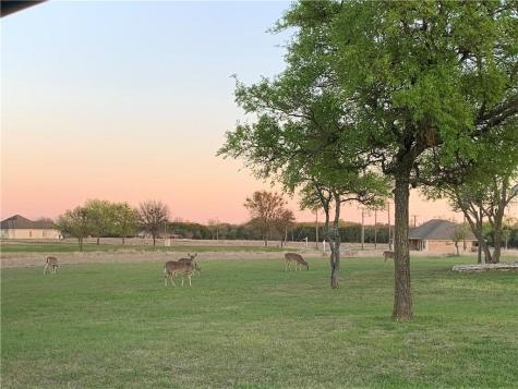 3026 Hillside Court Whitney TX 76692