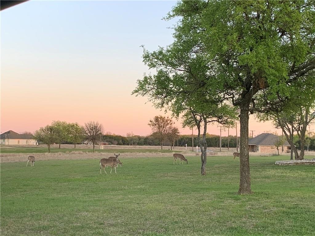 3026 Hillside Court Whitney TX 76692