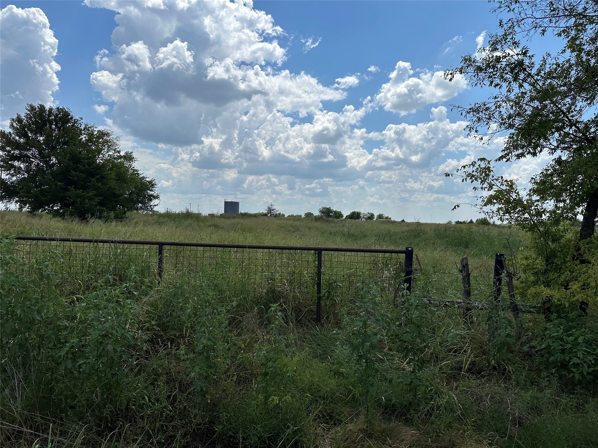 Lot 5 Rutledge Road Whitewright TX 75491