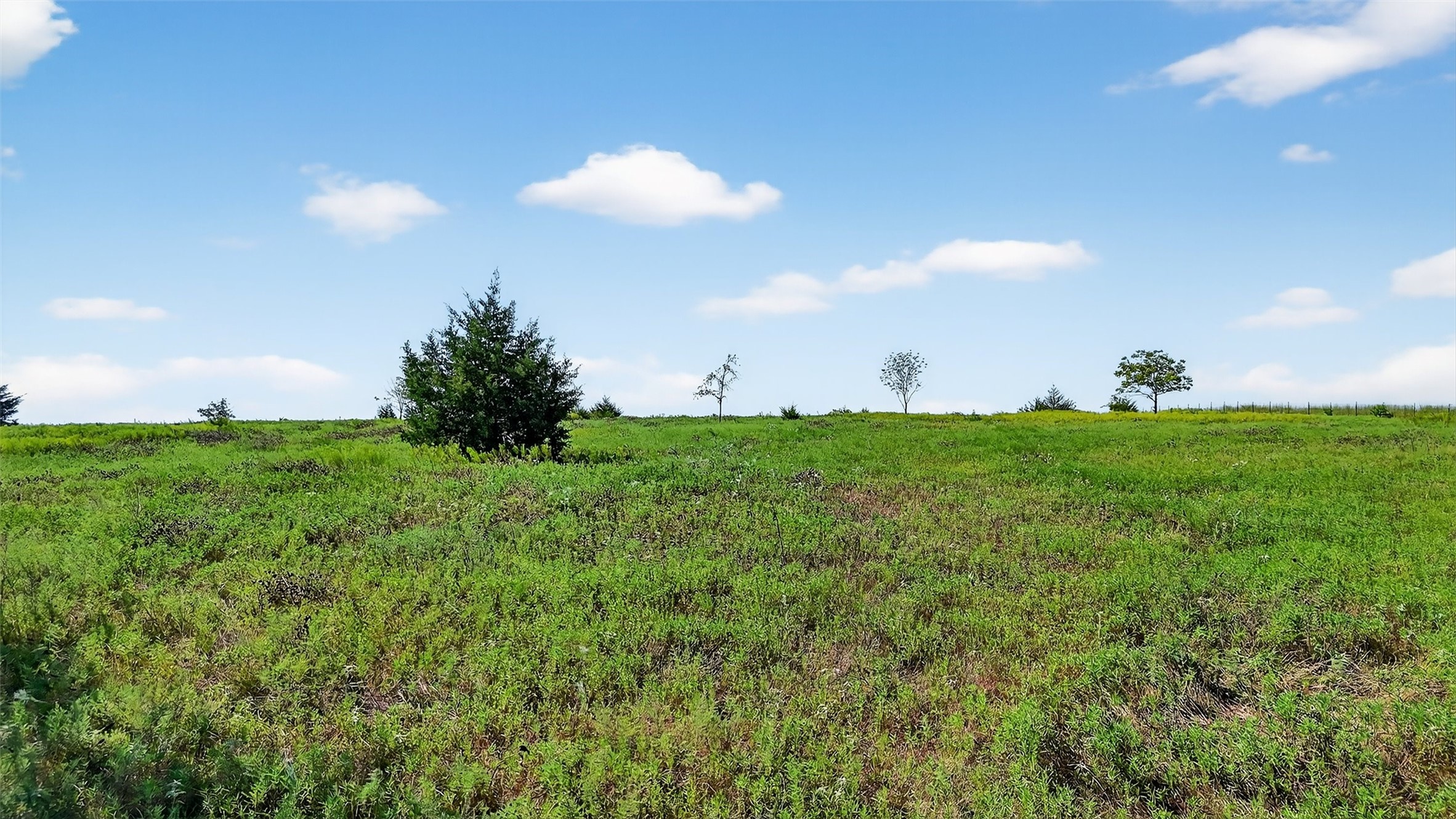 Tbd W Us Highway 82 Savoy TX 75479