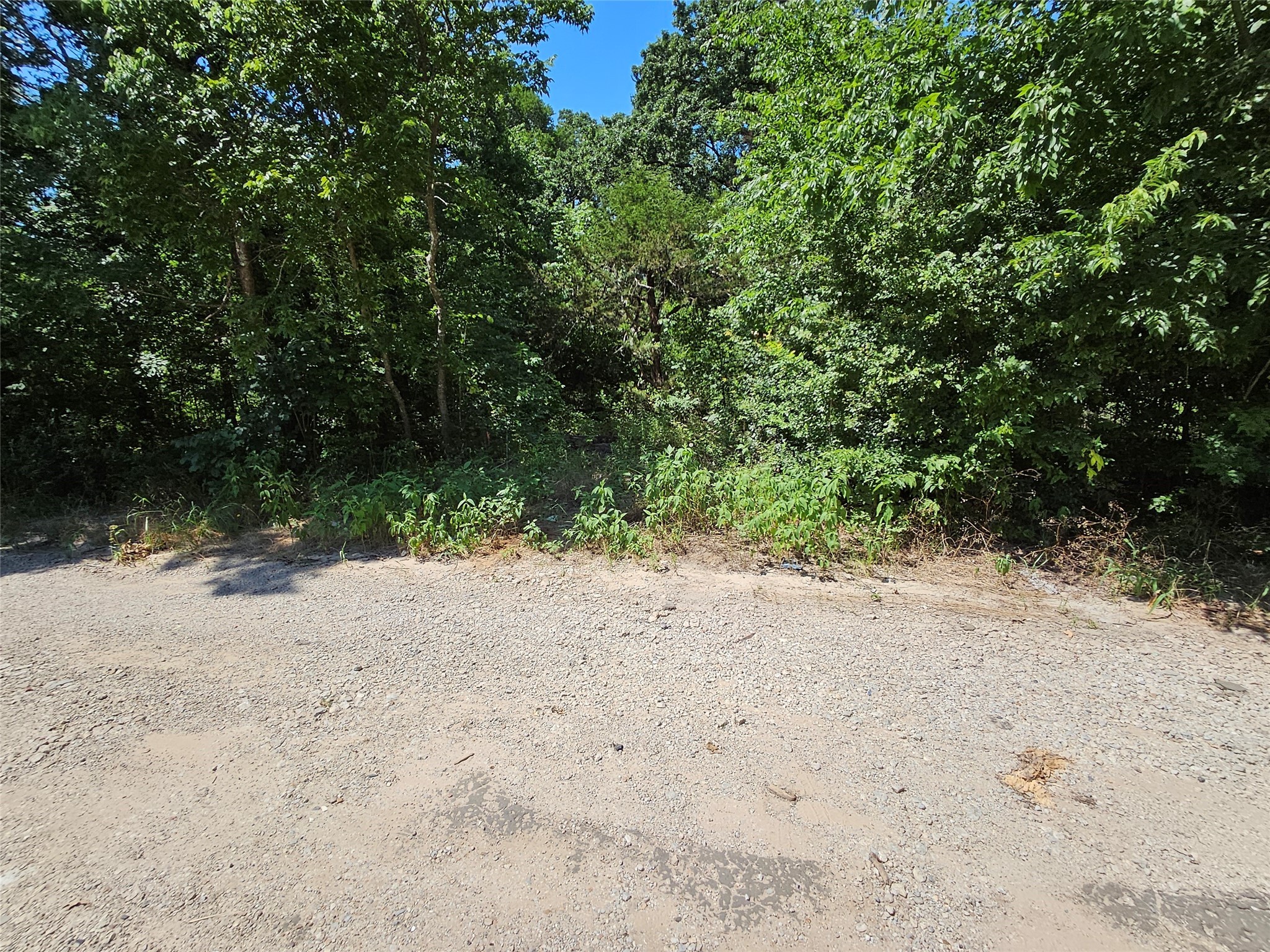Lot 1 Bird Hill Drive Quinlan TX 75474