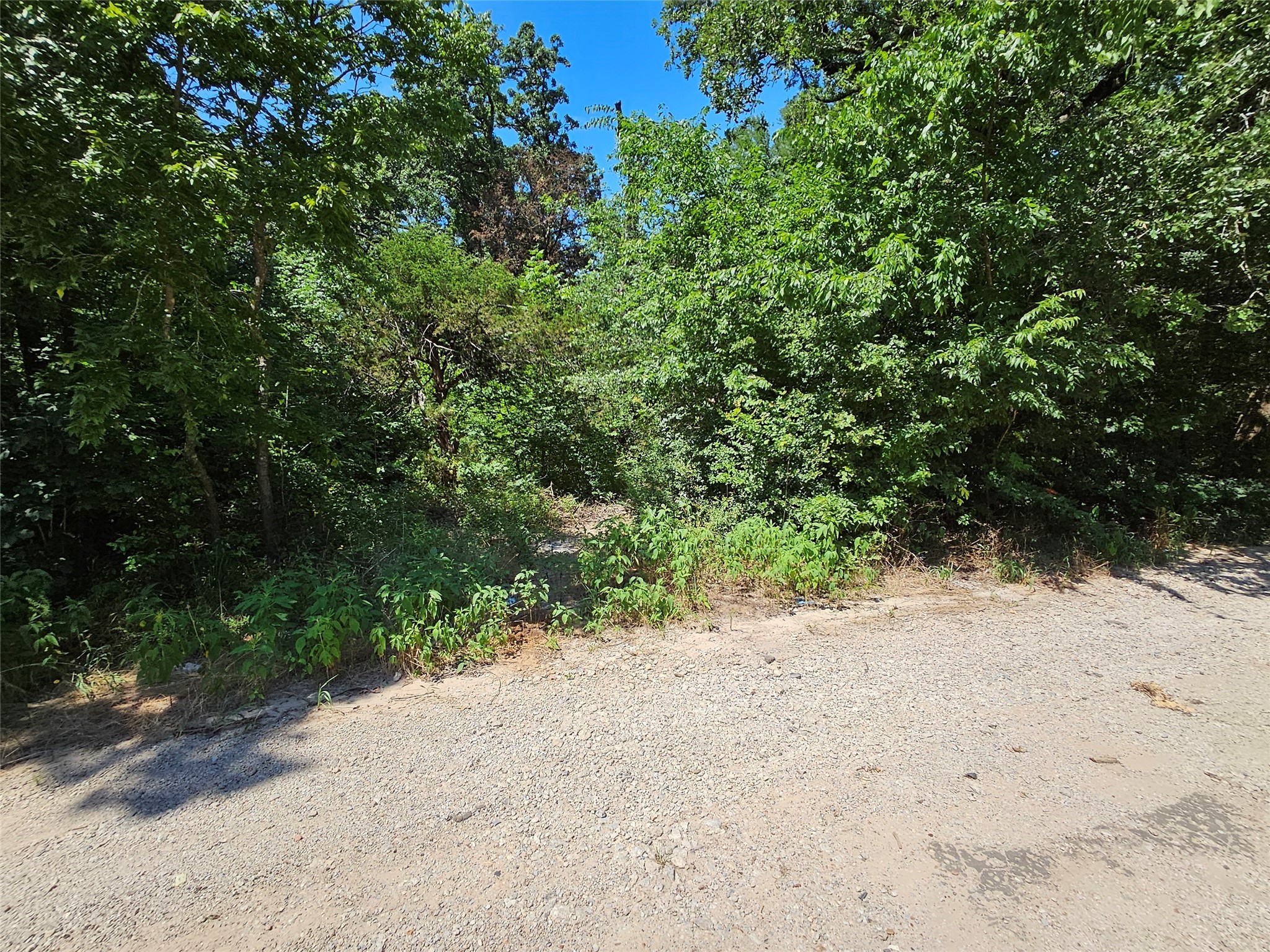 Lot 1 Bird Hill Drive Quinlan TX 75474