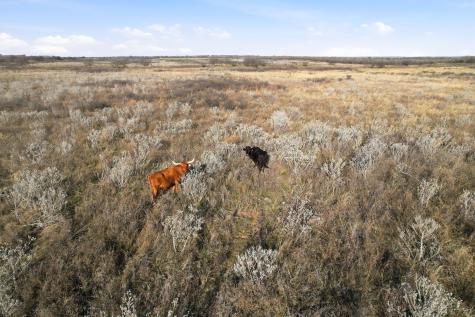 Trolinder Road Fm 680 Quanah TX 79252