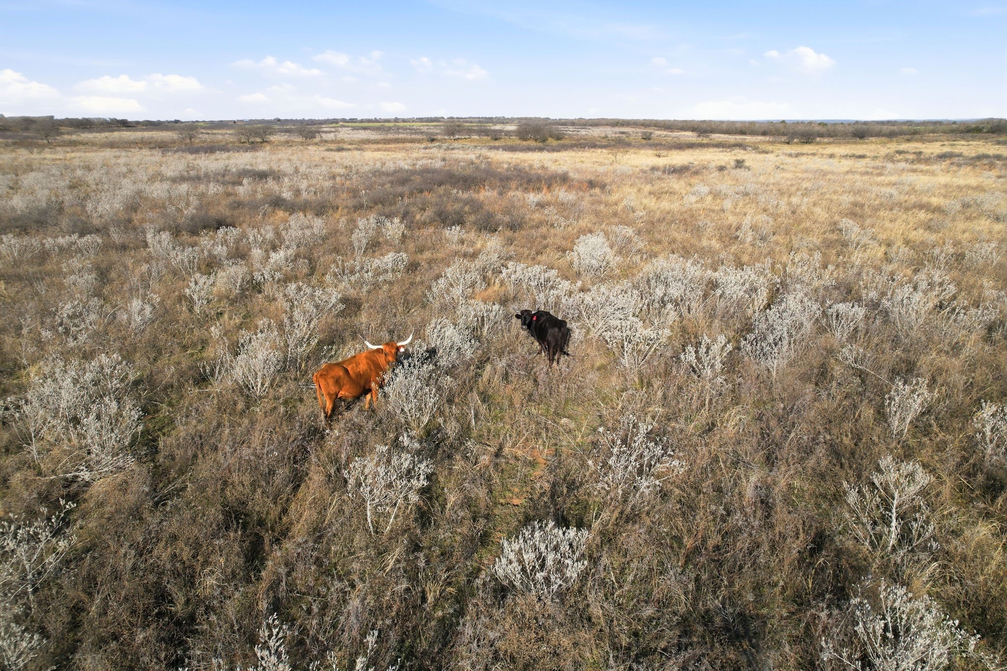 Trolinder Road Fm 680 Quanah TX 79252
