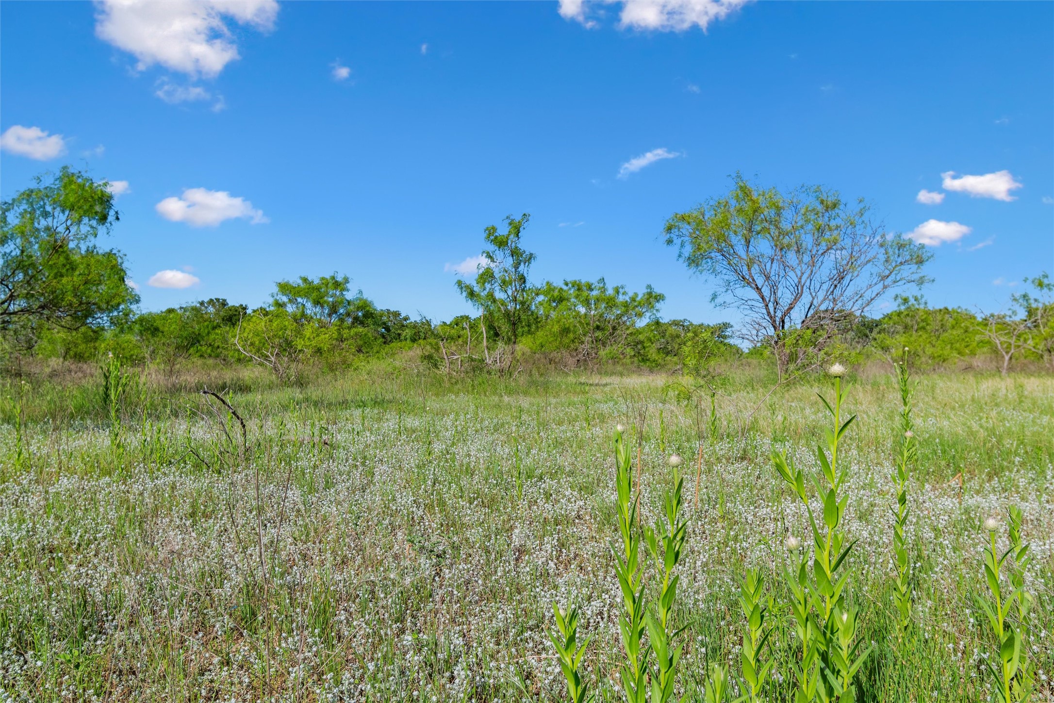 Tbd Adell Weatherford TX 76088