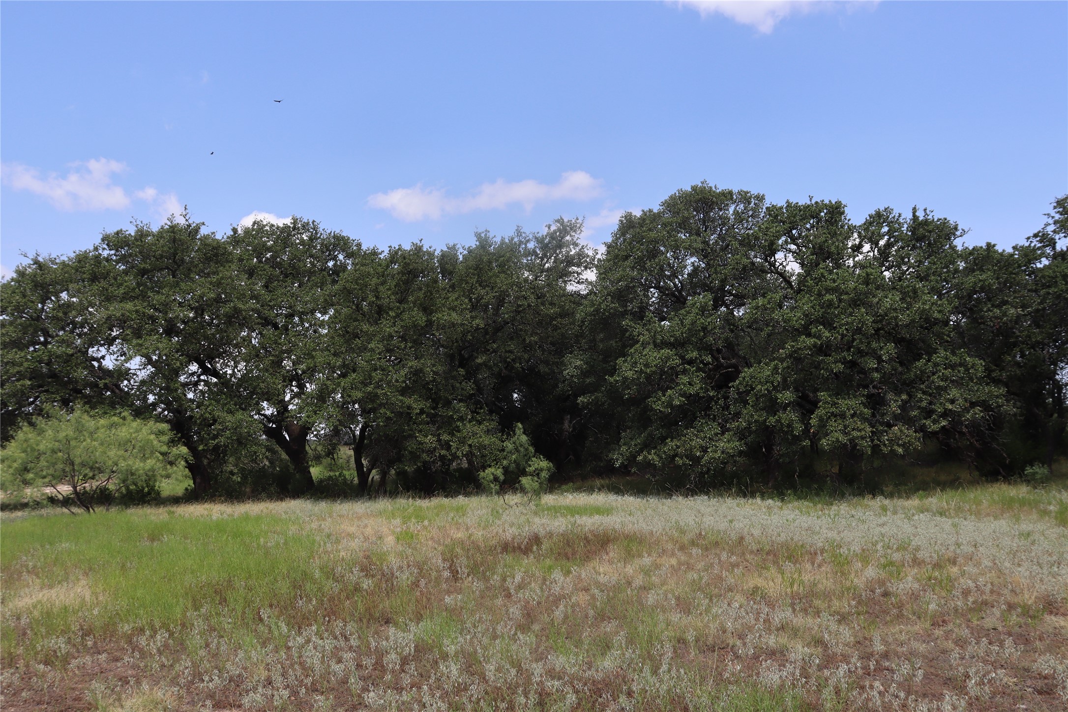 679 County Road 449 Coleman TX 76834