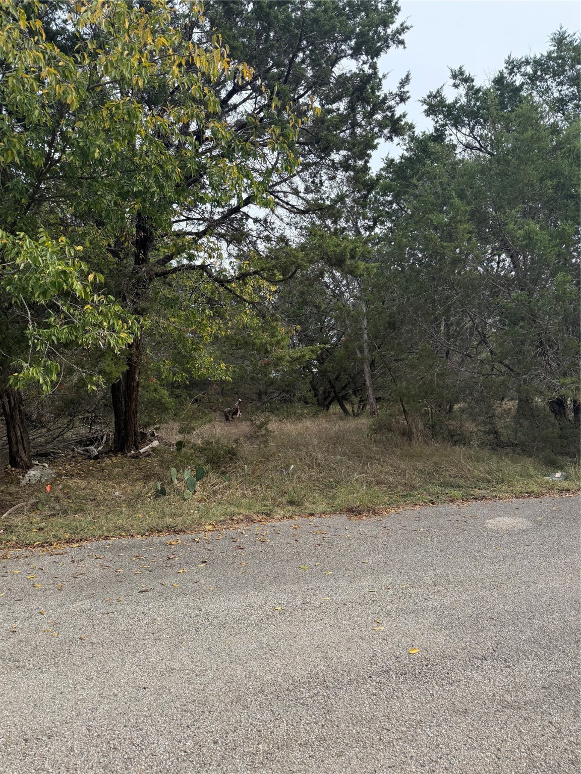 0 Teakwood Lane Morgans Point Resort TX 76513