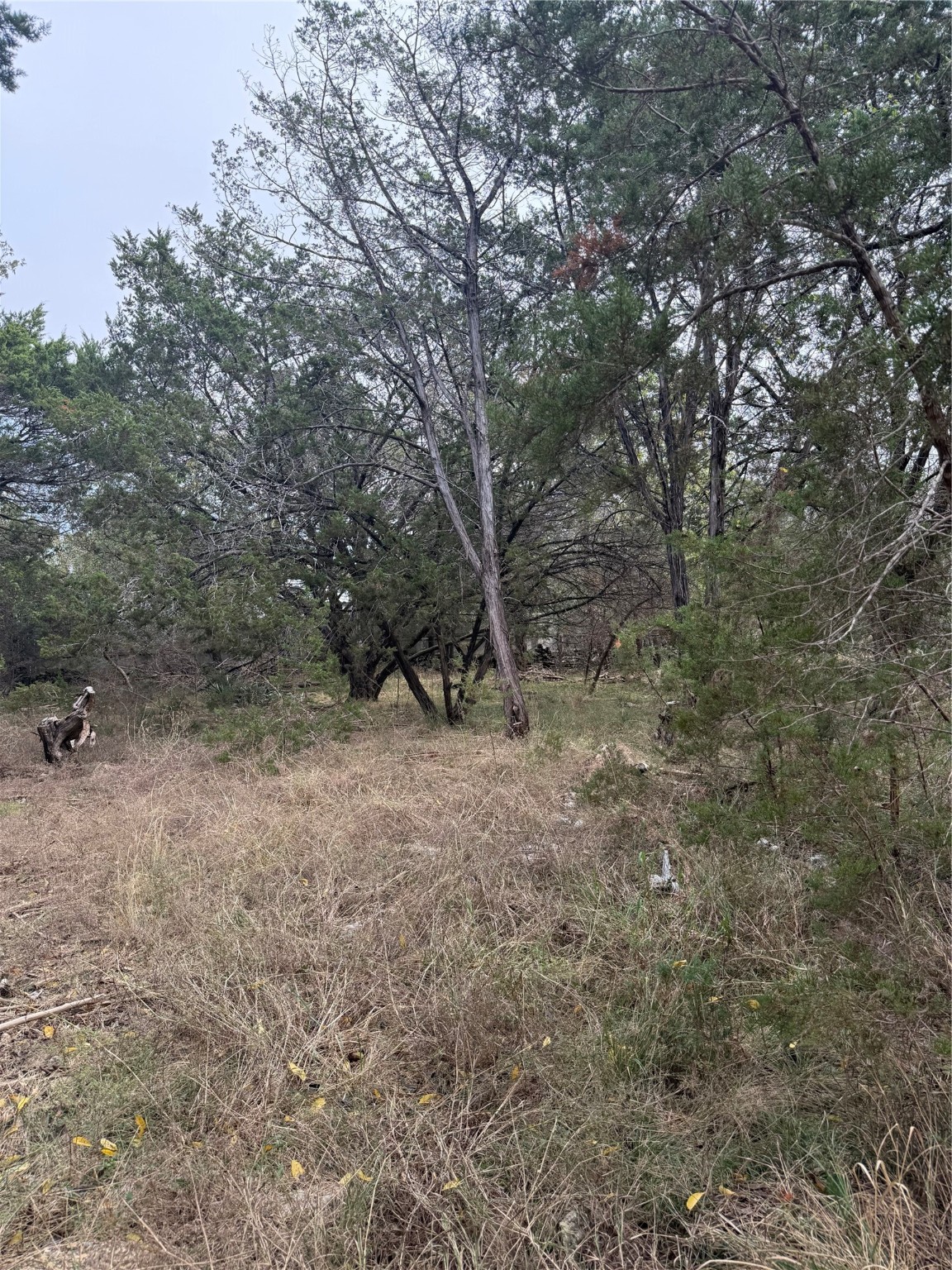 0 Teakwood Lane Morgans Point Resort TX 76513
