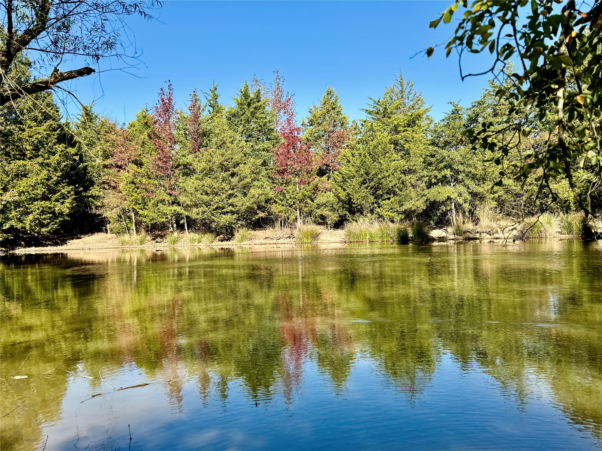 42 Acres County Road 2400 Pickton TX 75471