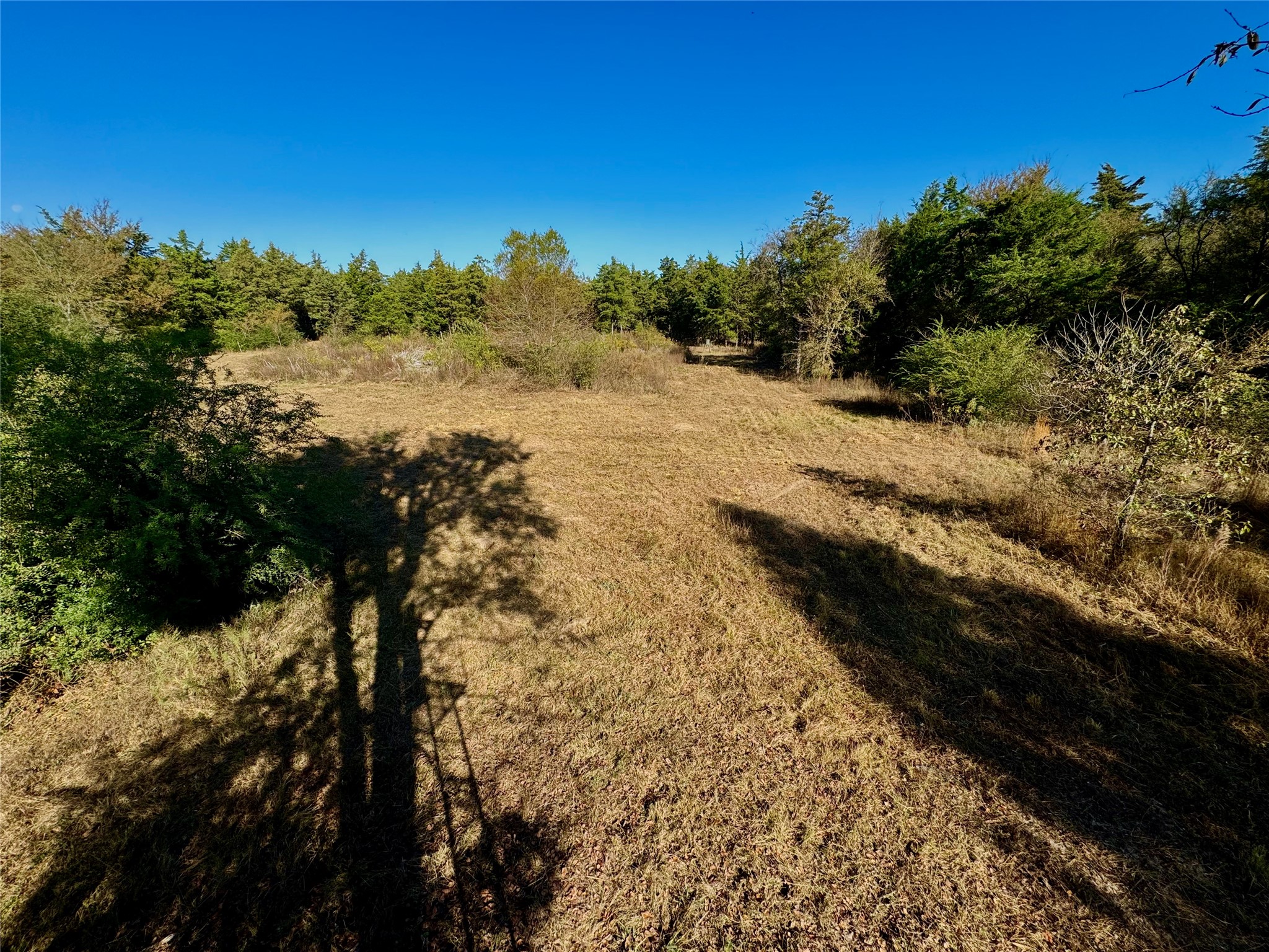 42 Acres County Road 2400 Pickton TX 75471