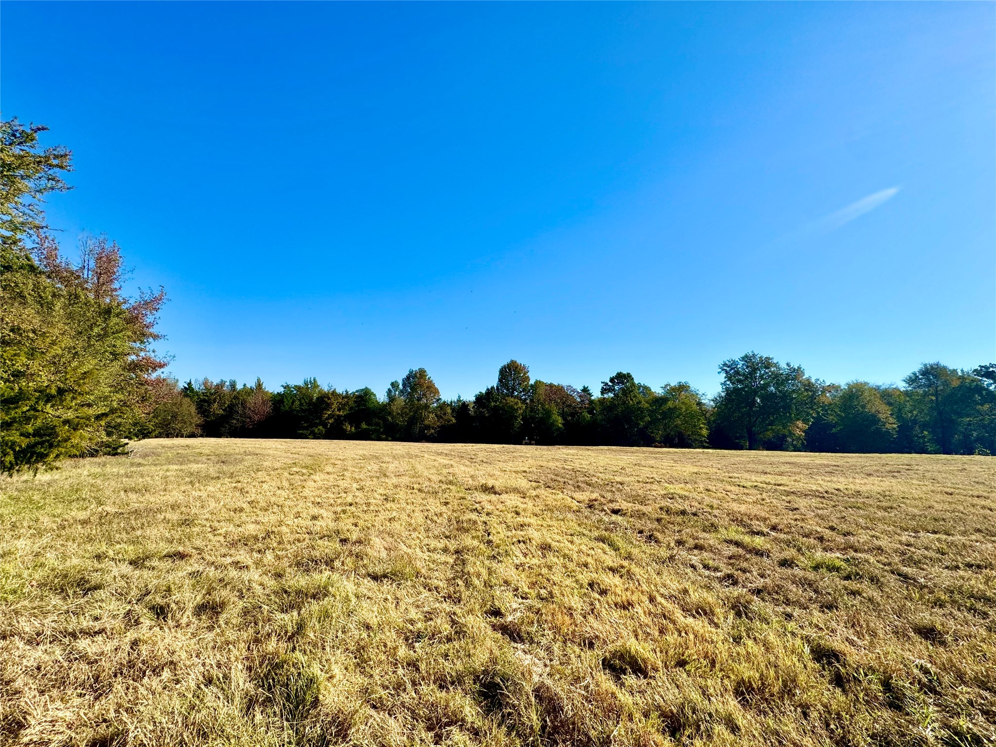 42 Acres County Road 2400 Pickton TX 75471