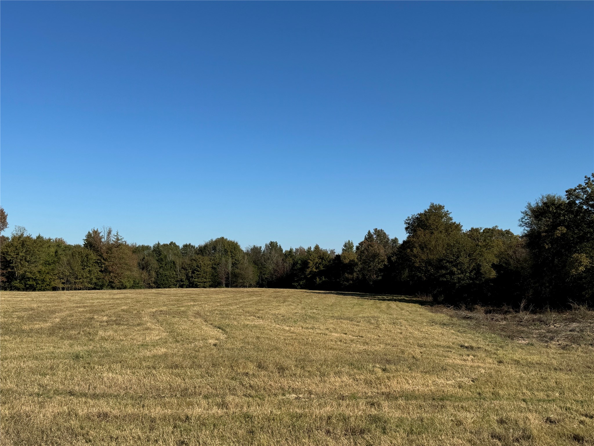 42 Acres County Road 2400 Pickton TX 75471