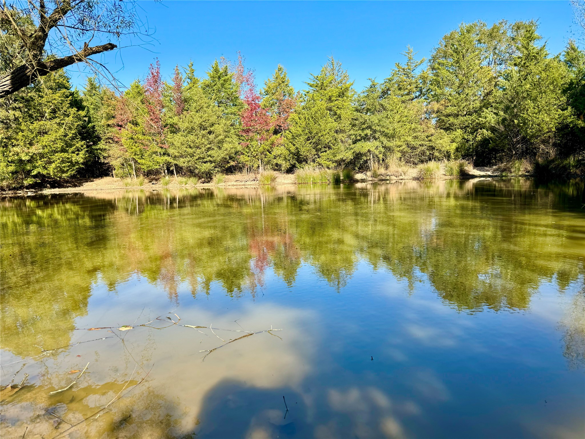 42 Acres County Road 2400 Pickton TX 75471