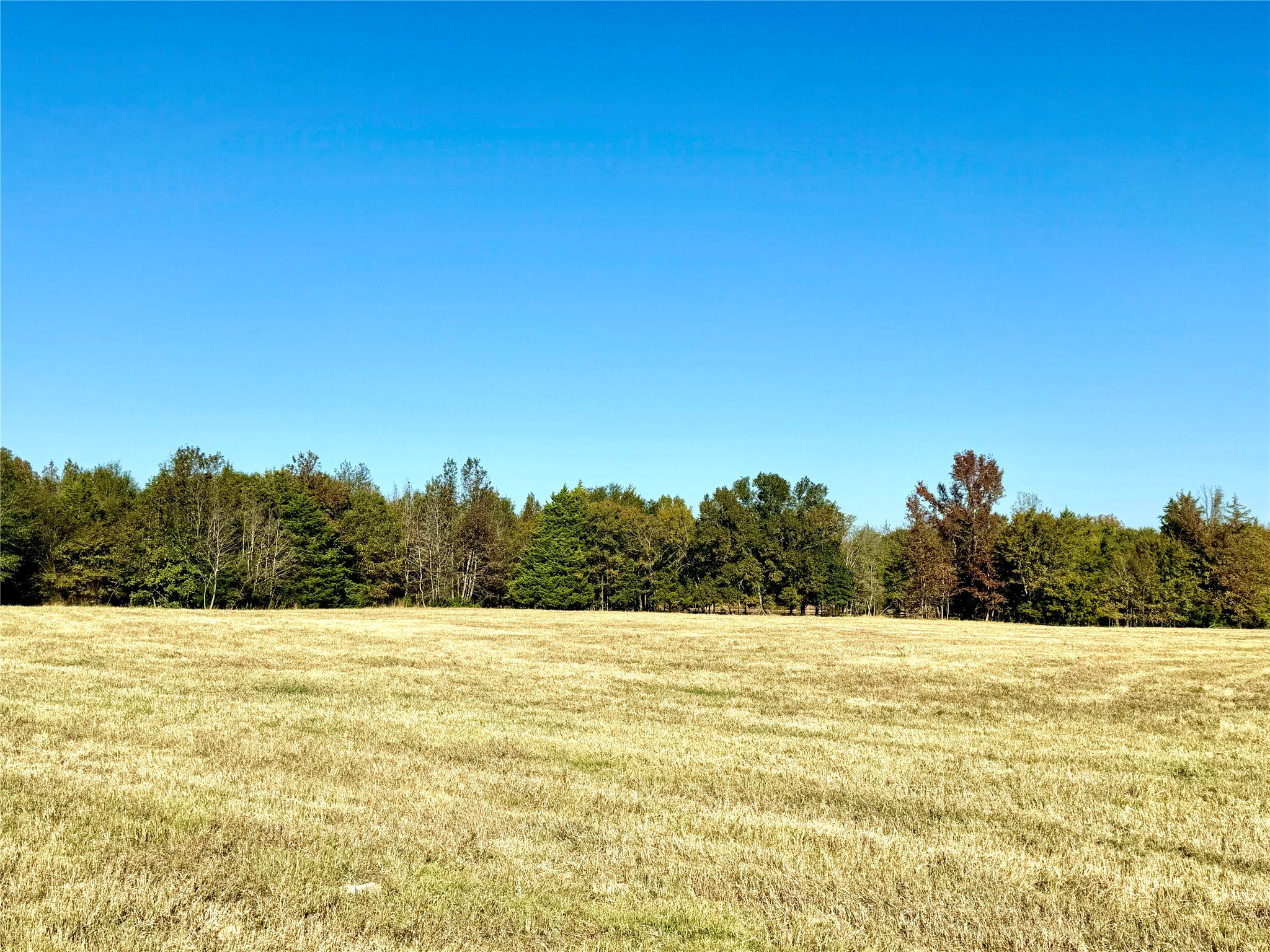 42 Acres County Road 2400 Pickton TX 75471