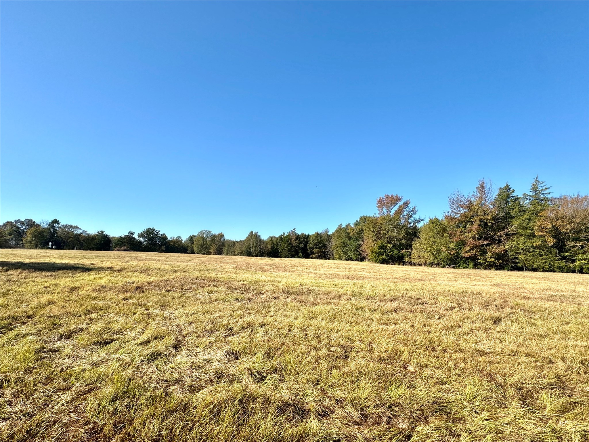 42 Acres County Road 2400 Pickton TX 75471